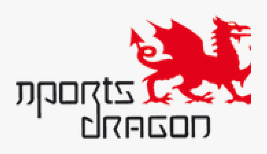 Imports Dragon Logo - Imports Dragon, HD Png Download, Free Download