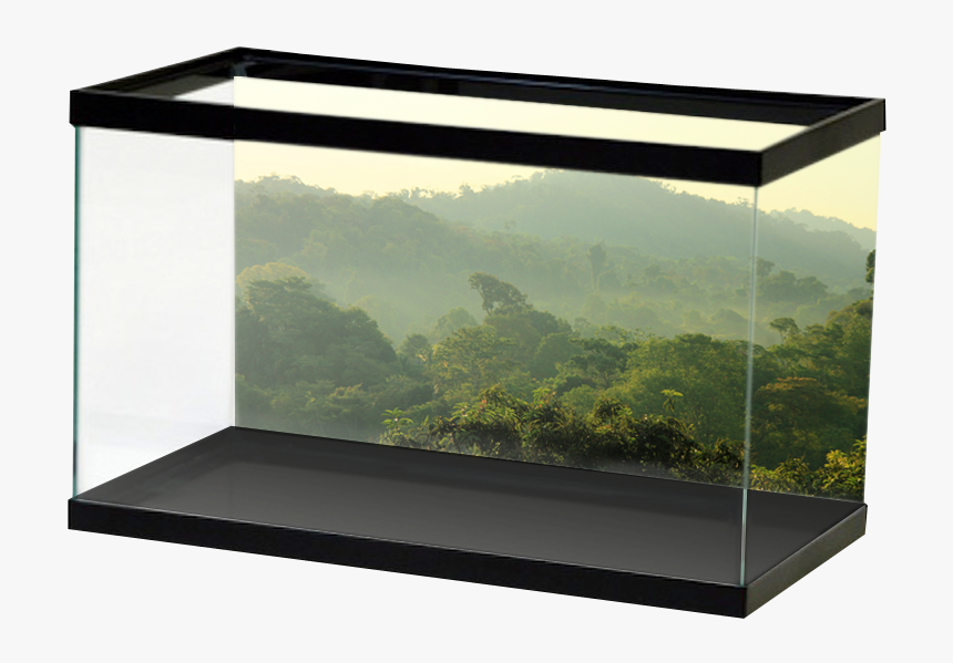 Specialty Jungletreeline - Vinyl For Fish Tank, HD Png Download, Free Download