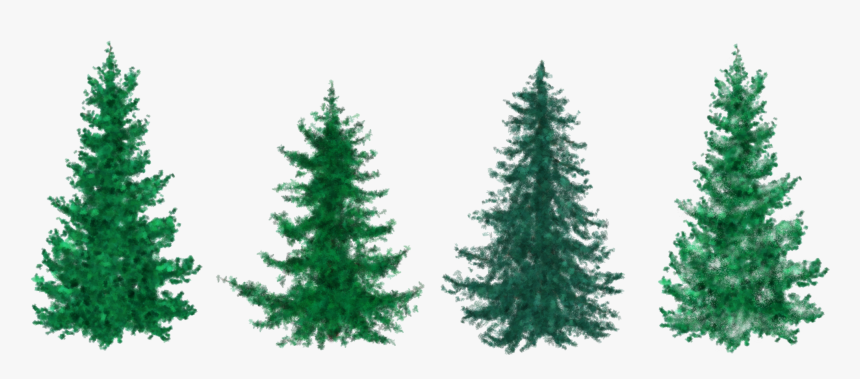 Fir Christmas Tree Clipart, HD Png Download, Free Download
