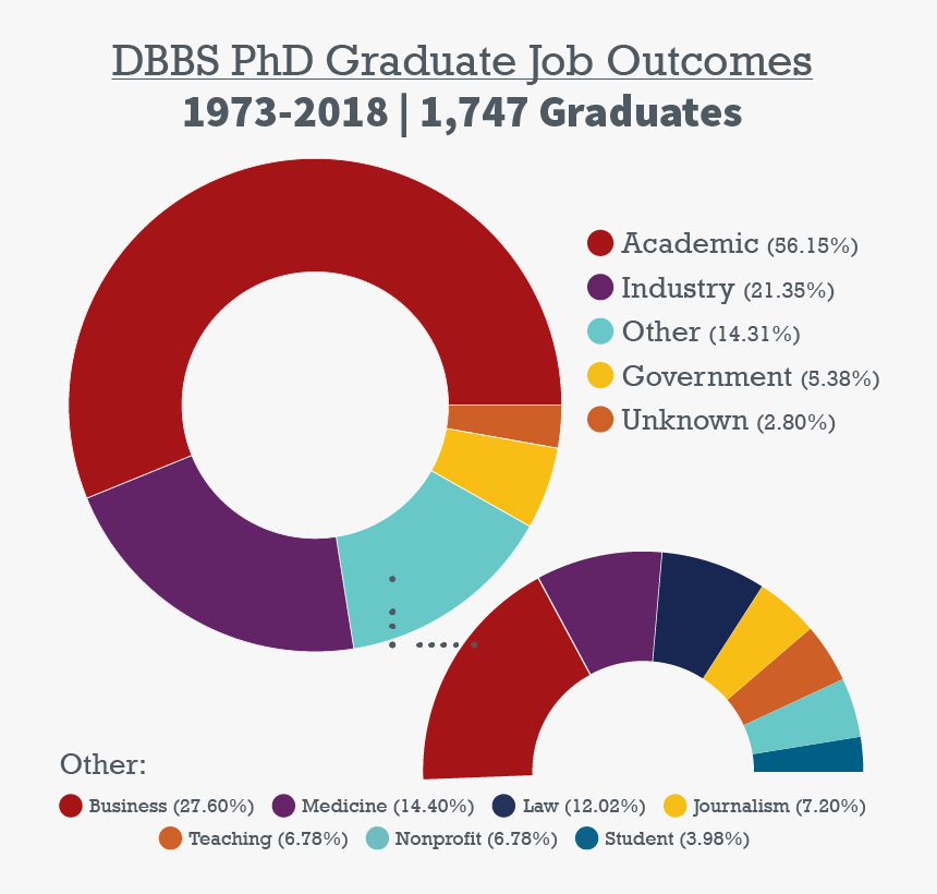 Graduate Outcomes - Картинки С Новым Годом 2011, HD Png Download, Free Download