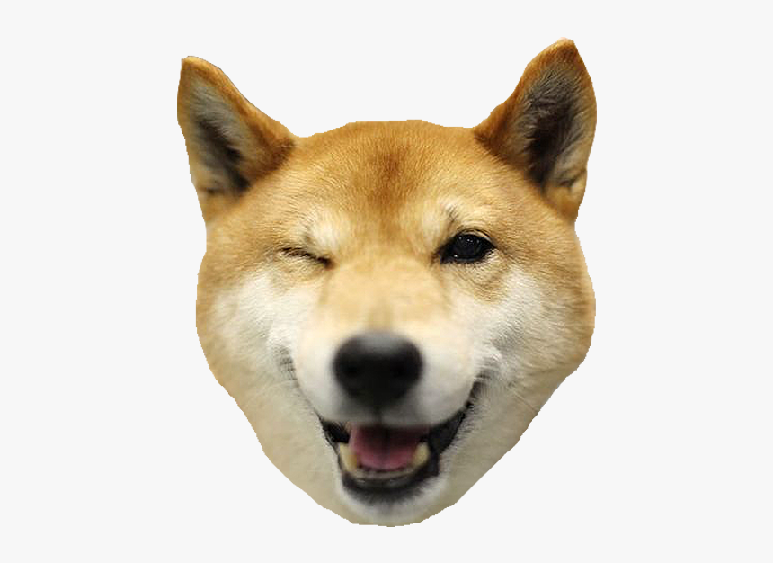 Shiba Dog"s Head Messages Sticker-5 - Shiba Inu Thank You, HD Png Download, Free Download