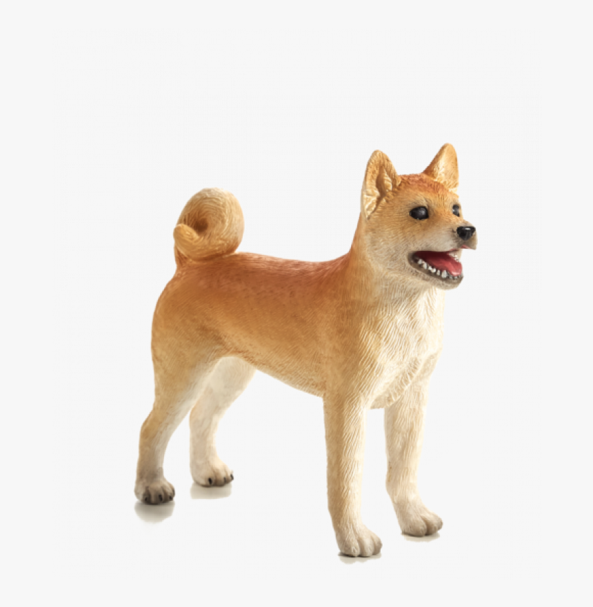 Shiba Inu Medium - Shiba Inu Transparent, HD Png Download, Free Download