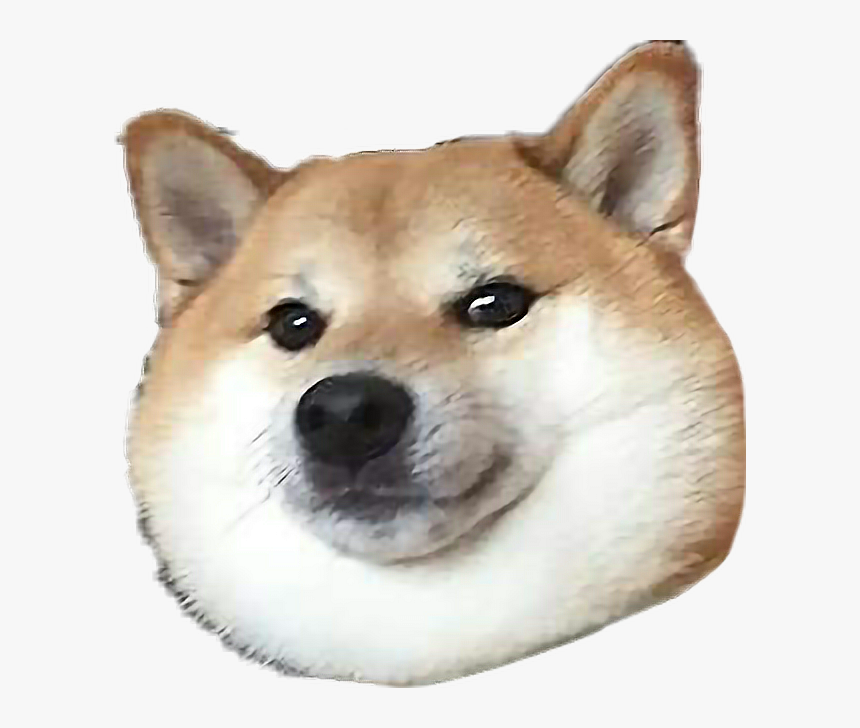 Transparent Doge Png - Doge Png, Png Download, Free Download