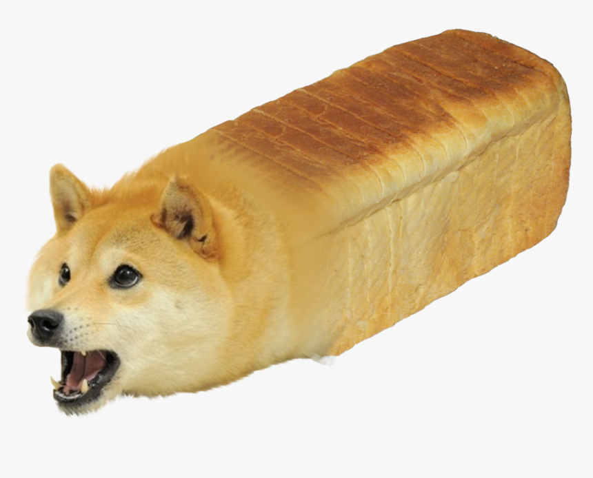 Shiba Inu Doge Youtube - Shiba Inu Dodge Dog, HD Png Download, Free Download