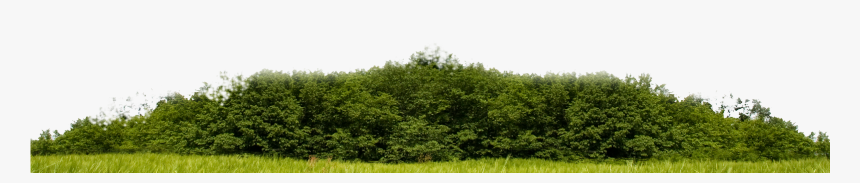 Skyline Nature Png, Transparent Png, Free Download