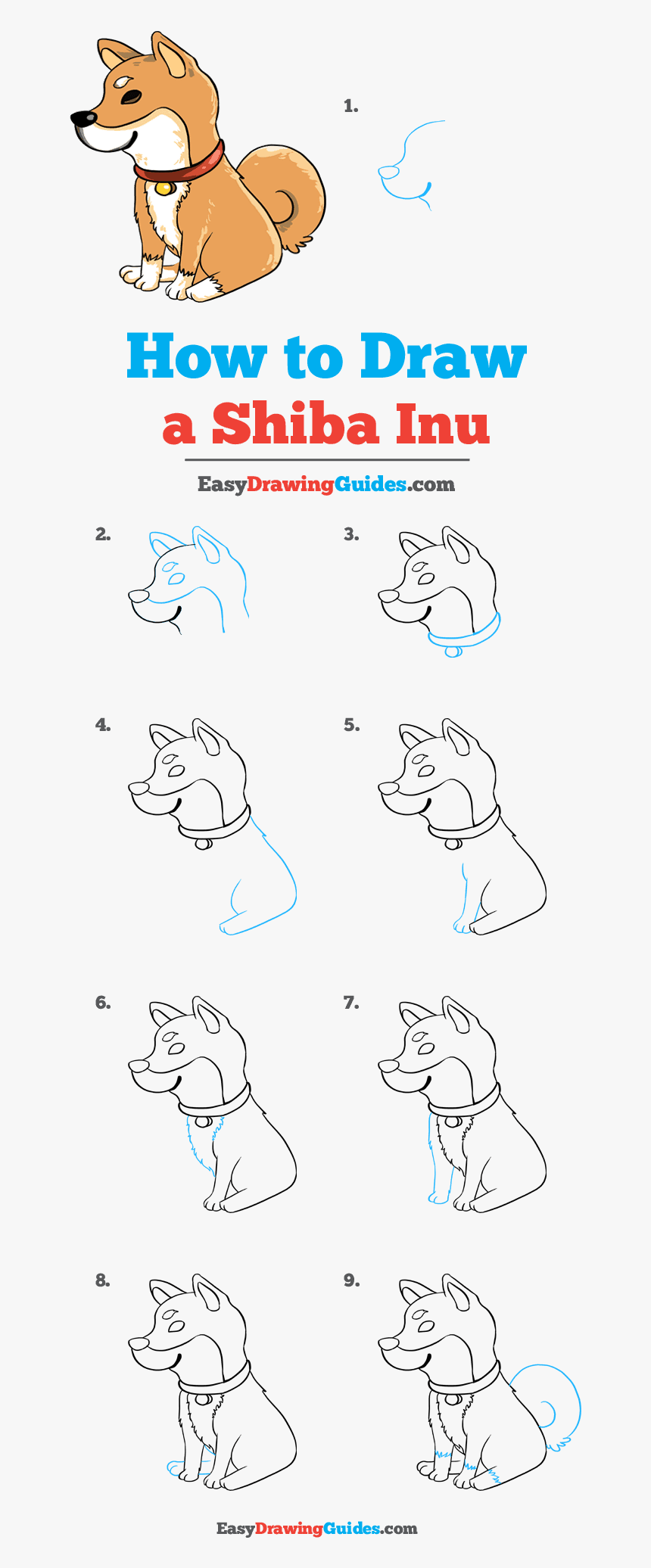 How To Draw Shiba Inu - Draw A Tomato Easy, HD Png Download, Free Download