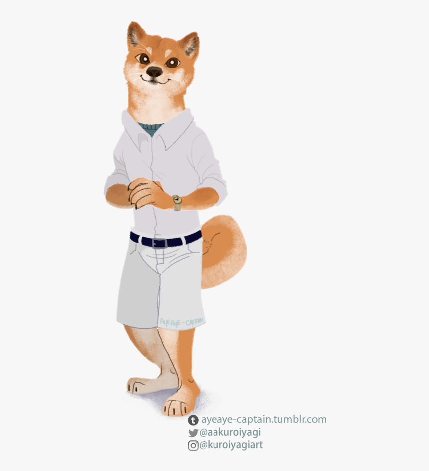 Shiba Inu Furry, HD Png Download, Free Download