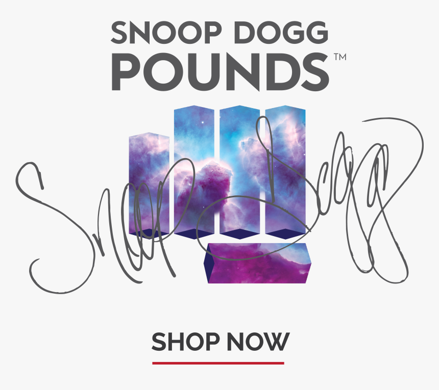 Snoop Dogg Pounds Starship, HD Png Download, Free Download