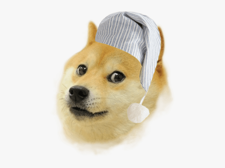 doge cutedoggalery