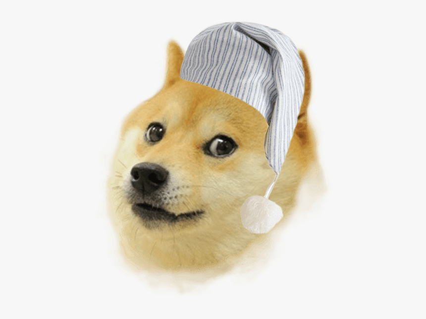 Doge Meme Png, Transparent Png, Free Download