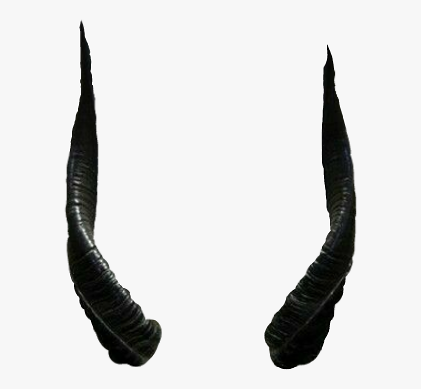 Horn Devil Png - Real Devil Horns Png, Transparent Png, Free Download