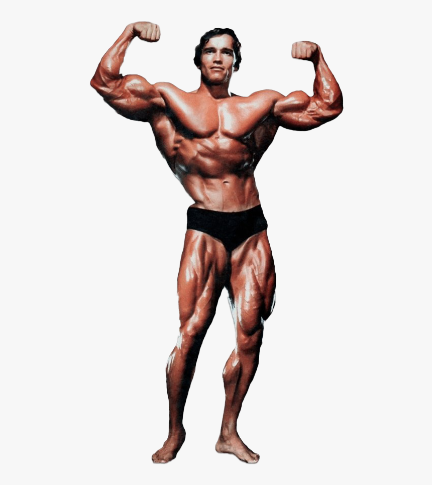 Arnold Schwarzenegger - Historyofbodybuilding - Com - Arnold Schwarzenegger Bodybuilding Png, Transparent Png, Free Download