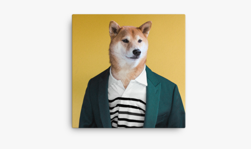 Mensweardog Mellow Yellow Canvas - Menswear Dog, HD Png Download, Free Download