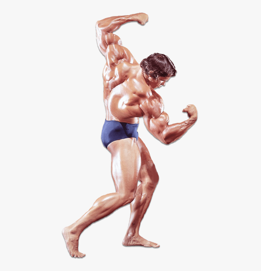 Arnold Schwarzenegger - Historyofbodybuilding - Com - Transparent Body Builder Png, Png Download, Free Download