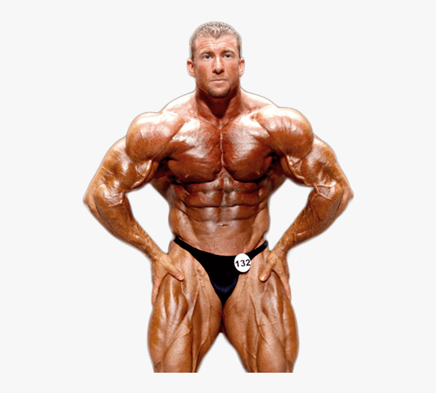 Transparent Arnold Schwarzenegger Png - Bodybuilder Transparent, Png Download, Free Download