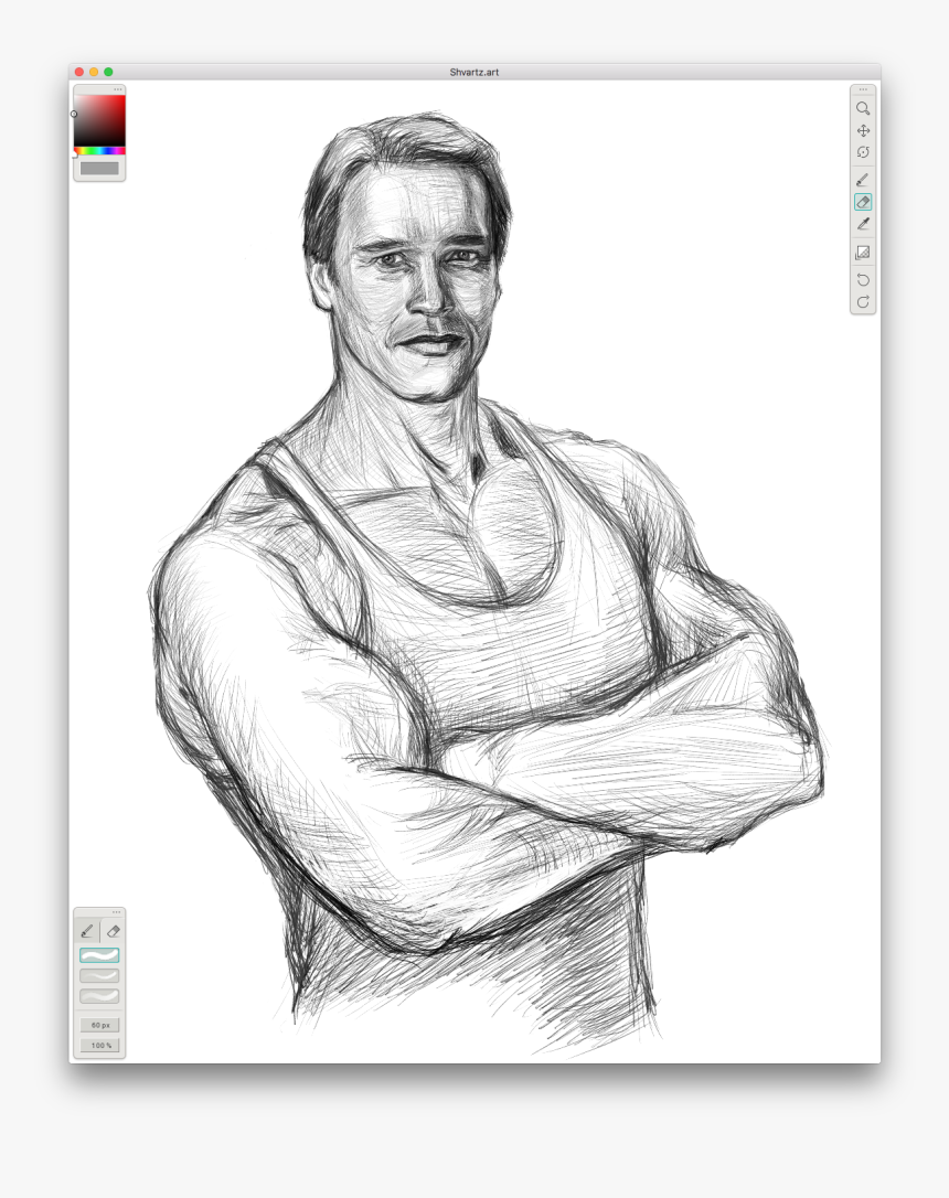 My Portrait Of Arnold Schwarzenegger - Sketch, HD Png Download, Free Download