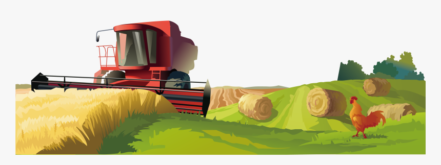 Agriculture Photography Illustration - Farm Field Farm Clipart, HD Png Download, Free Download