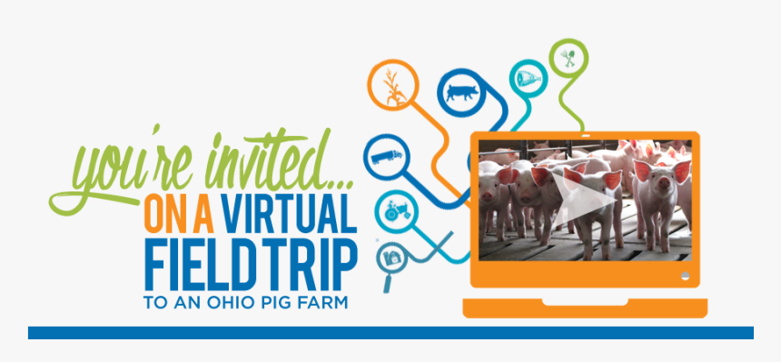 You"re Invited On A Virtual Field Trip To An Ohio Pig - Salt River Fields At Talking Stick, HD Png Download, Free Download