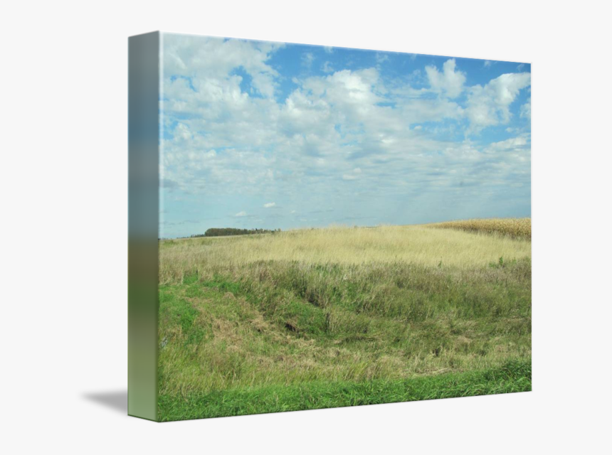 Clip Art Green Grass Blue Sky - Grass, HD Png Download, Free Download