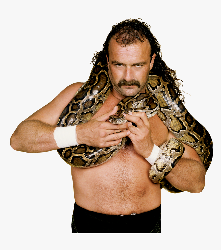 Jake The Snake Roberts Pro - Jake The Snake Roberts Autograph, HD Png Download, Free Download