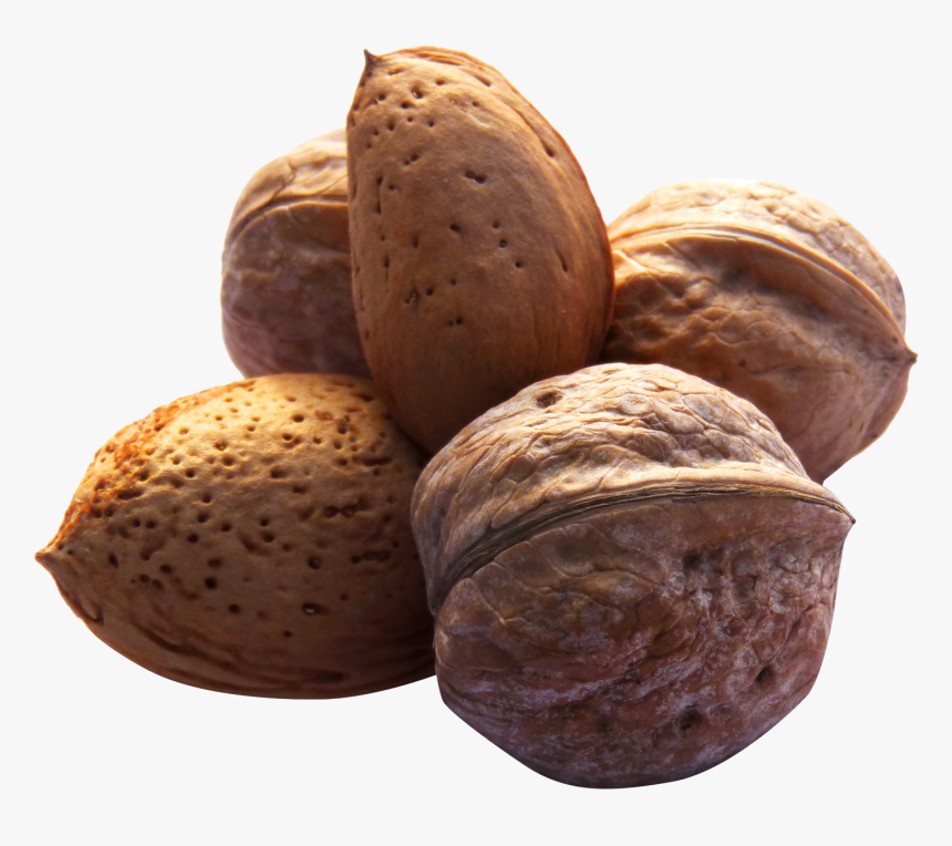 Nut, HD Png Download, Free Download