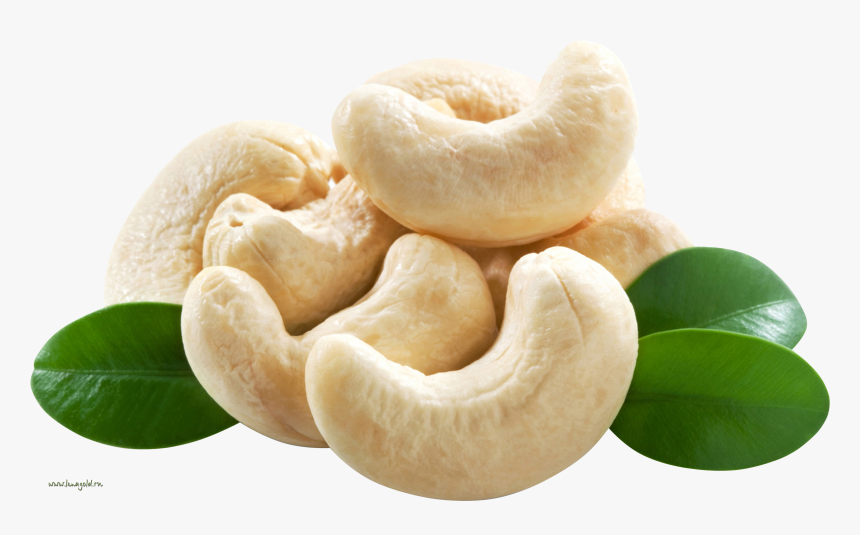 Cashew Nut Png - Cashew Png, Transparent Png, Free Download
