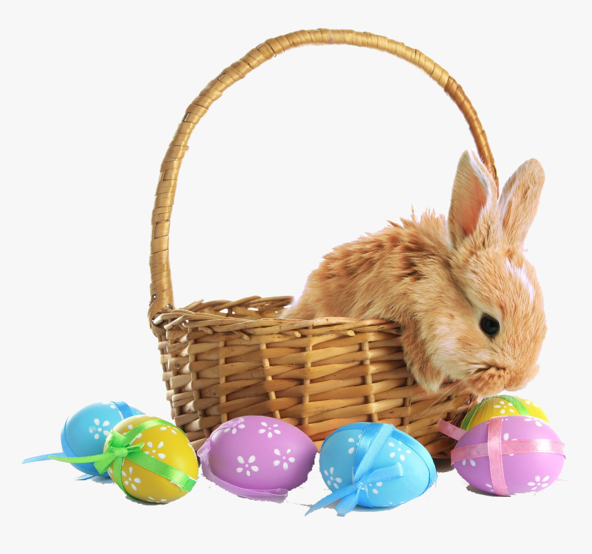 Easter Basket Png Photo Background - Happy Easter With Bunny, Transparent Png, Free Download