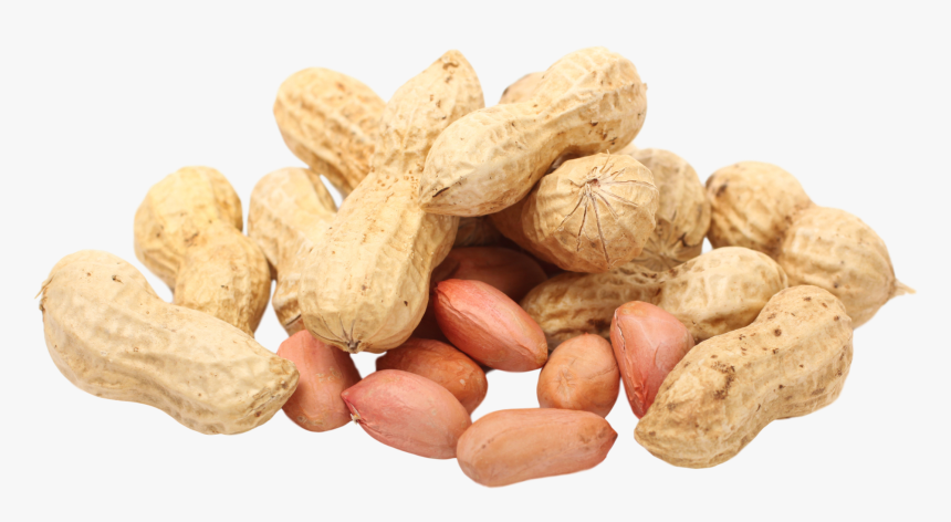 & Seeds,fruit,legume Family,natural Foods,walnut,vigna - Transparent Transparent Background Peanuts, HD Png Download, Free Download