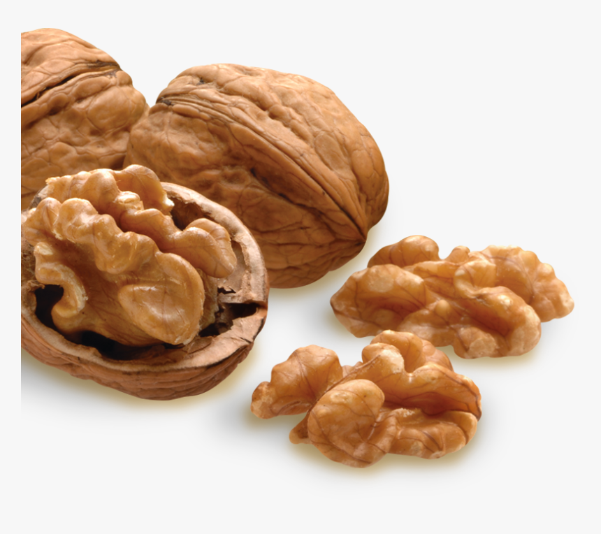 Nut Png Image Transparent - Walnut Peanut, Png Download - kindpng.