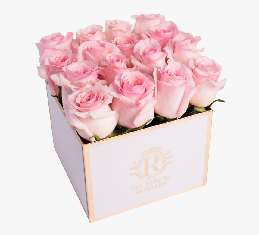 Garden Roses, HD Png Download - kindpng