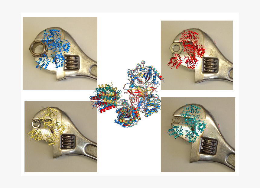 Uggt Is Like A Wrench Glycoproteins Like Nuts - Jewelry Making, HD Png Download, Free Download