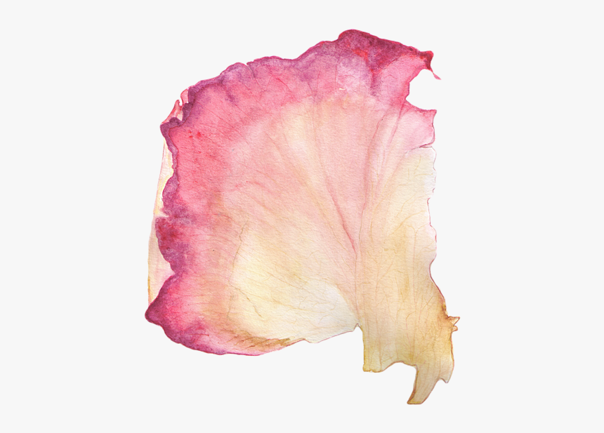 Rose Petal Painting, HD Png Download, Free Download