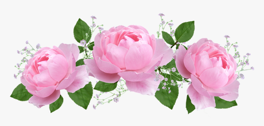 Flower, Floral, Rose, Flora, Petal - Sister Verse, HD Png Download, Free Download