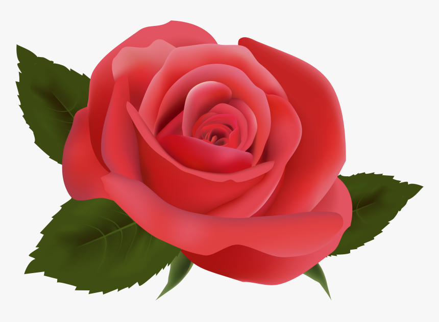Clipart Roses Aesthetic - Transparent Background Rose Png, Png Download, Free Download