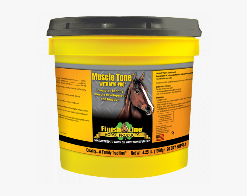 Muscle Building Supplement For Horses - Muscle Tone For Horses, HD Png Download, Free Download