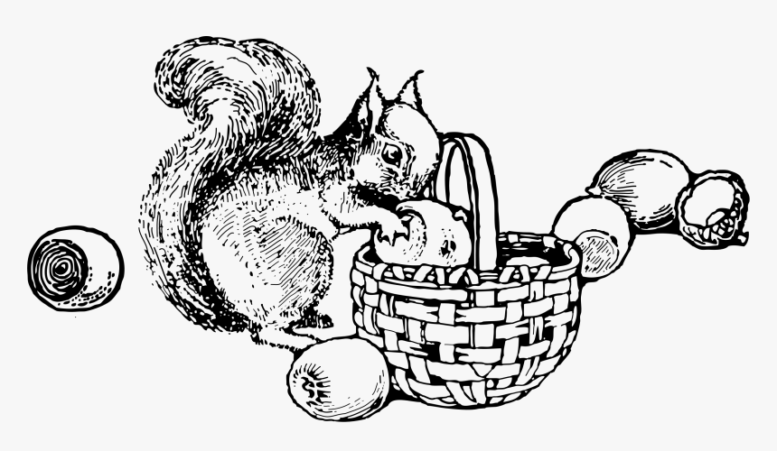 Squirrel And Nuts Clip Arts - Squirrel Gathering Nuts Clipart, HD Png Download, Free Download