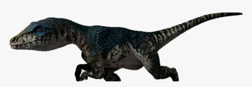 Raptor Primeval , Png Download - Primeval Transparent, Png Download, Free Download