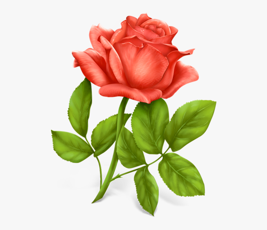 Red Roses Png Clipart Picture Only Roses Pinterest - Flower Png Photo Download, Transparent Png, Free Download