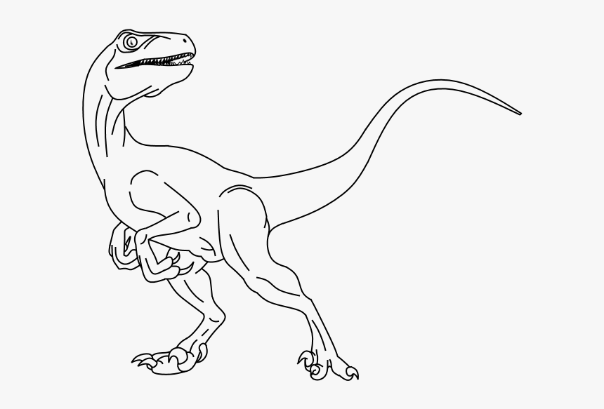 Dinosaurs Drawing Raptor - Dinosaur Raptor Drawing, HD Png Download, Free Download