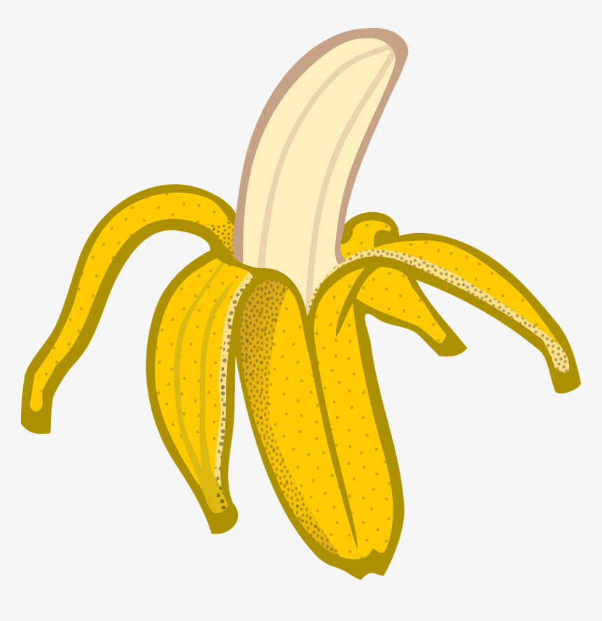 Banana, Education, Fruit, School - Peeled Banana Cartoon Png, Transparent Png, Free Download