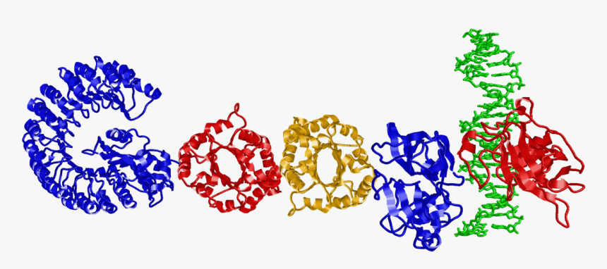 Doodle Proteins - Google Logo Trick, HD Png Download, Free Download