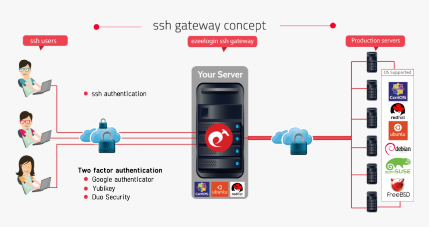 Ssh support support