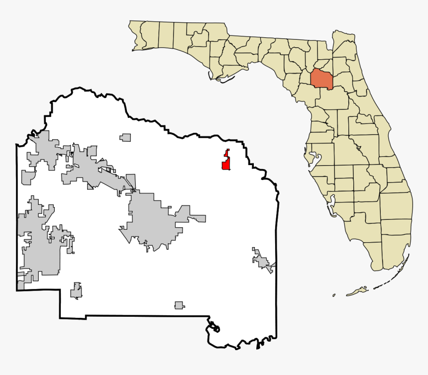 Alachua County Florida, HD Png Download, Free Download