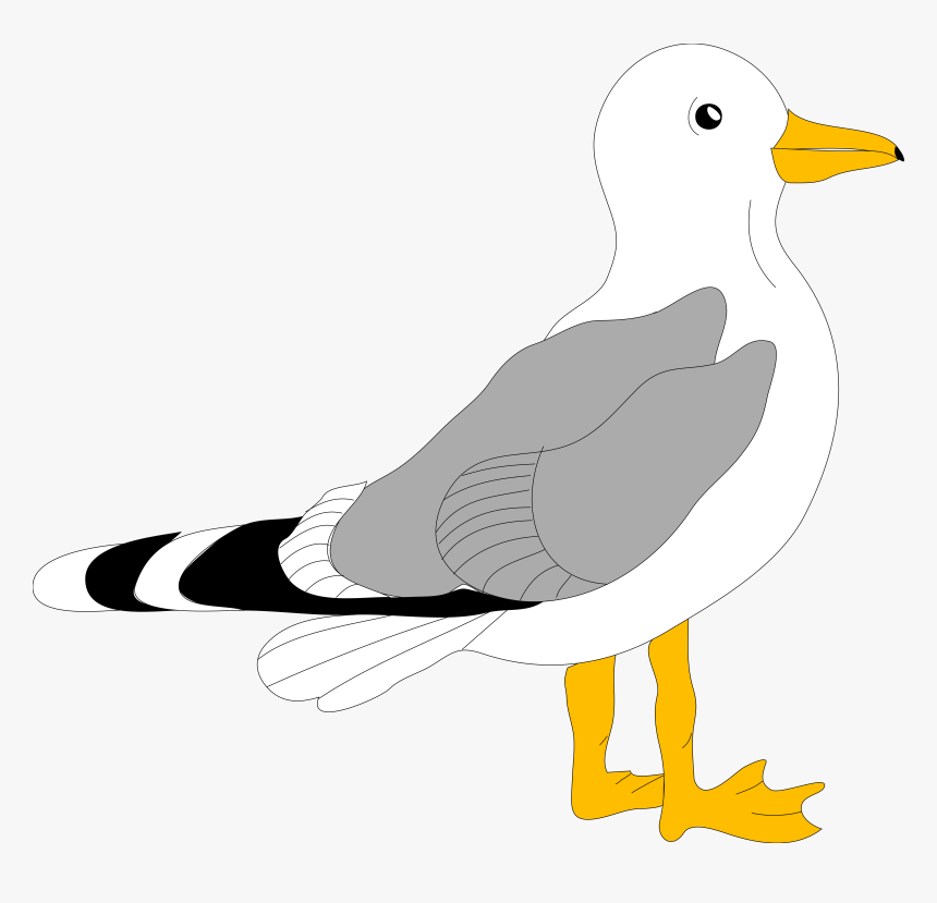 Чайка рисунок png