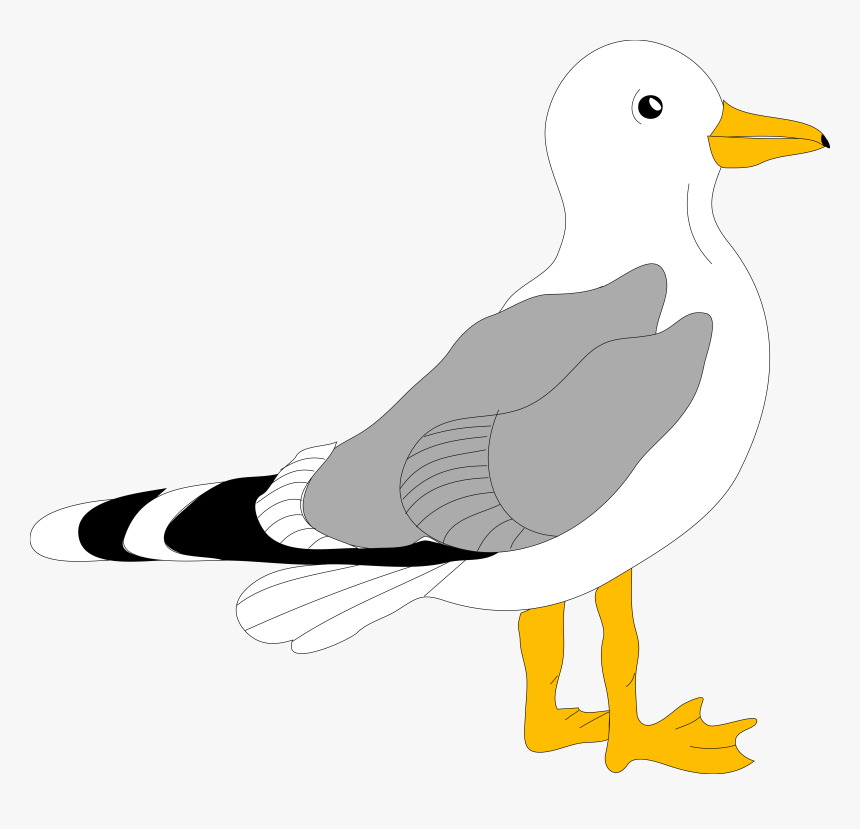 Cartoon Seagull Svg Clip Arts - Gull Clipart, HD Png Download, Free Download