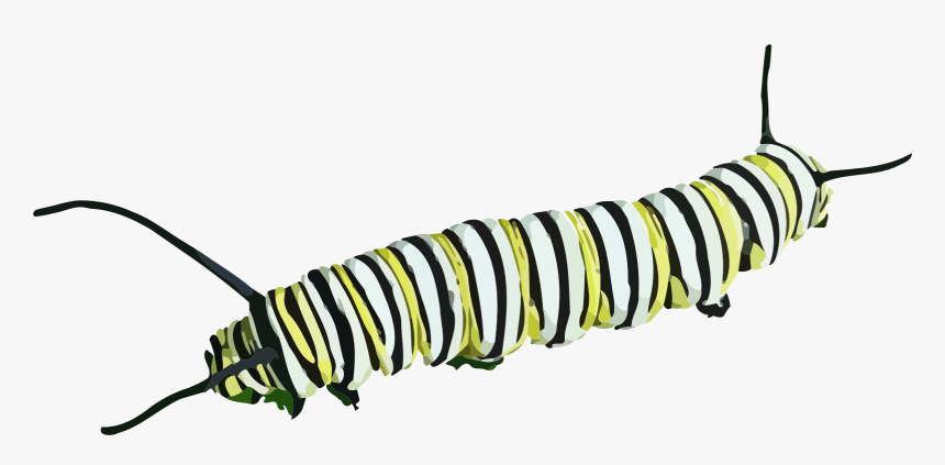 Caterpillar Clipart - Caterpillar Transparent Background, HD Png Download, Free Download