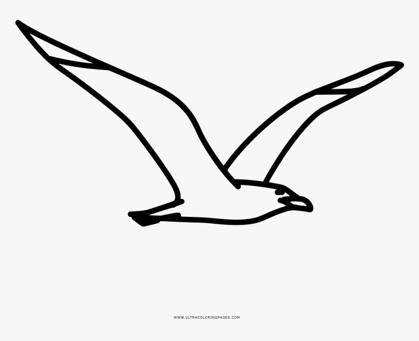 Seagull Coloring Page - Line Art, HD Png Download, Free Download