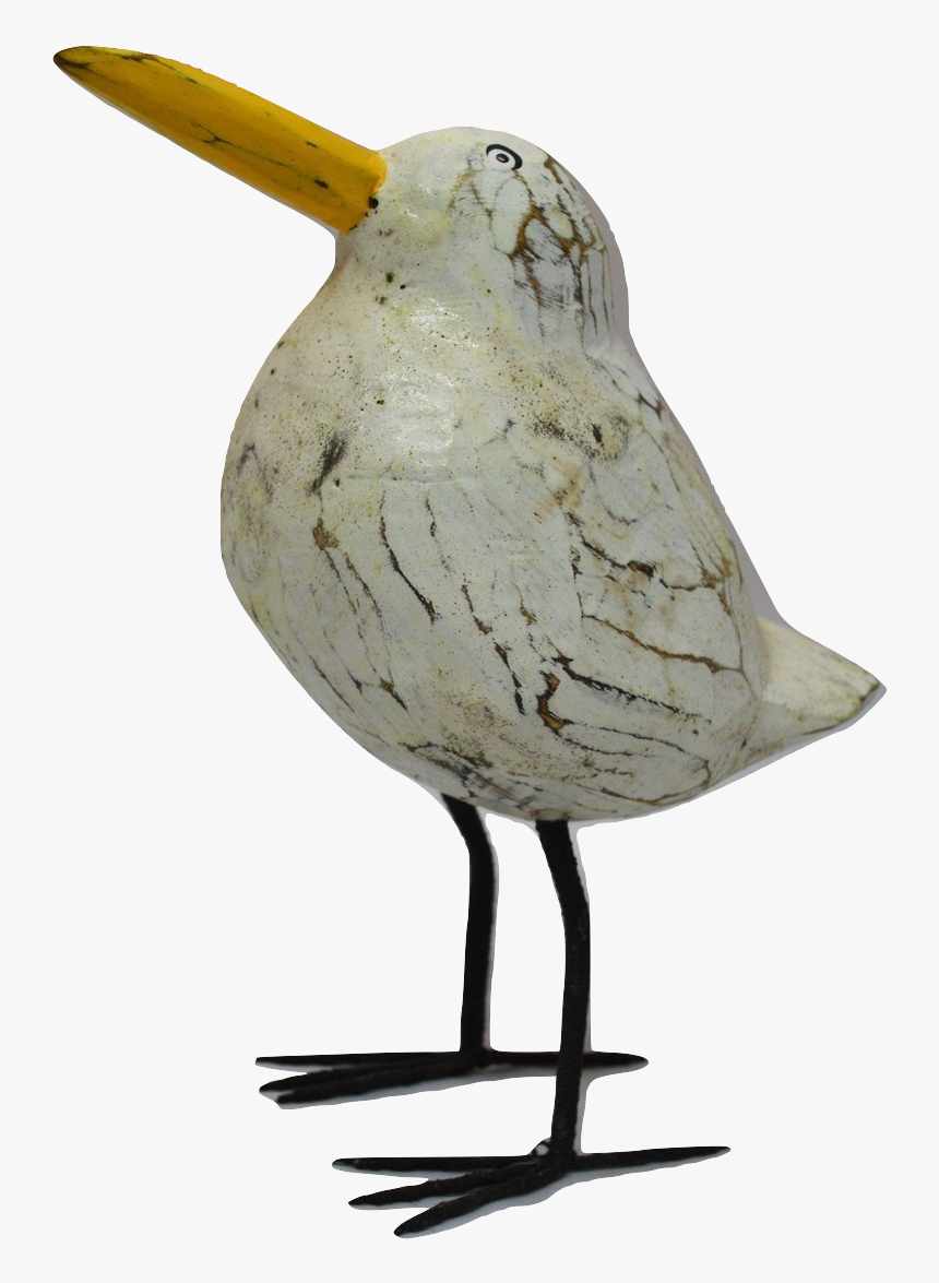 Shorebird, HD Png Download, Free Download