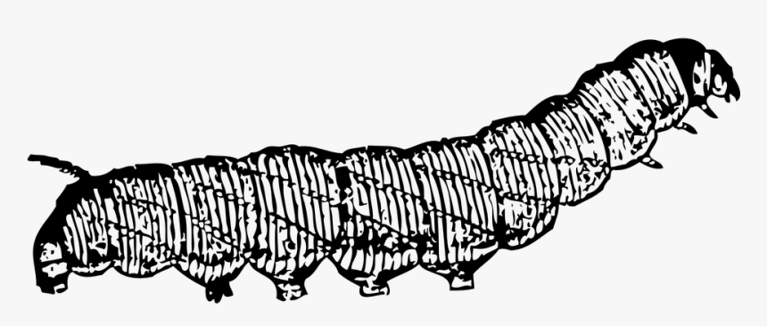 Caterpillar, Insect, Worm, Body, Segmented, Movement - Caterpillar Clip Art, HD Png Download, Free Download