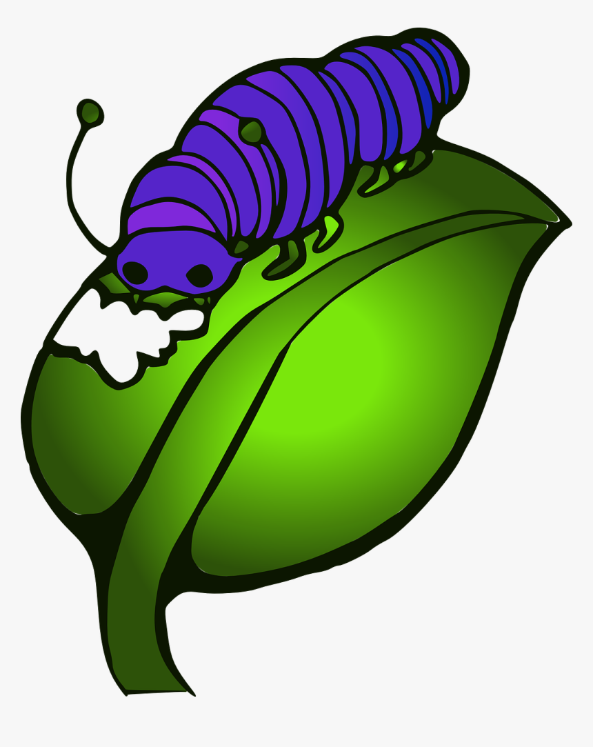 Caterpillar, Leave, Eat, Blue, Green, Hunger - Animasi Ulat Kupu Kupu, HD Png Download, Free Download